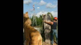preview picture of video 'Démonstration de sculpture à la tronçonneuse au Camping La Rotonde-Le Village Western (Hourtin)'