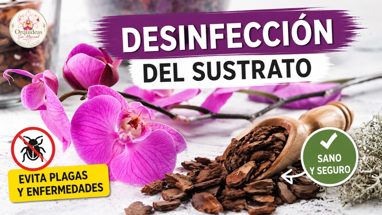 Recomendación: Plants.bg: corteza y musgo