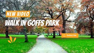 Walk in Goffs Park on a winter morning