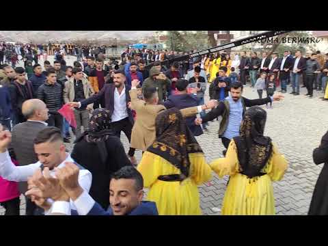 Şiyar Berwari - Kasrik Düğünü  [ 2021 © HD ]   شيار برواري