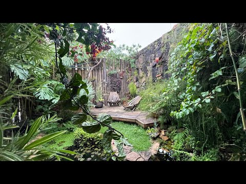 Casa Natureza no Centro da Cidade Asa Sul Brasília DF