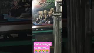 Download lagu rebana anak milenial mp3 Download lagu rebana anak milenial mp3