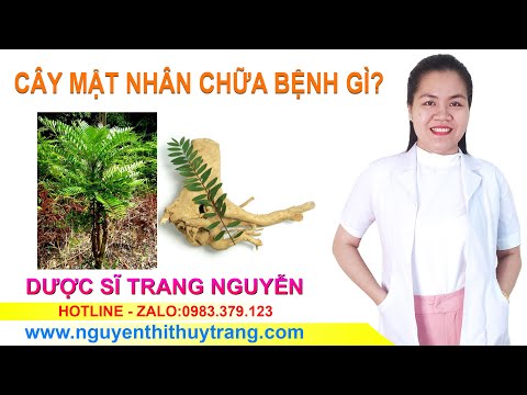 , title : 'Cây mật nhân chữa bệnh gì? Uống cây mật nhân có gây tác dụng phụ không'