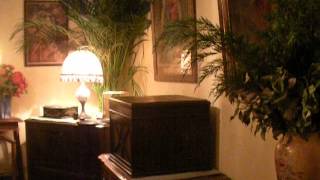 78rpm, Columbia, 1933 -WHAT A DIFFERANCE A DAY MADE-Fox-Trot Geraldo and his sweet music.