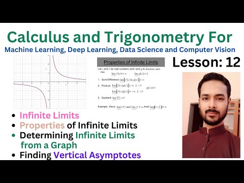 Lesson 12 Infinite Limits | Limits to Infinity | Properties of Infinite Limits