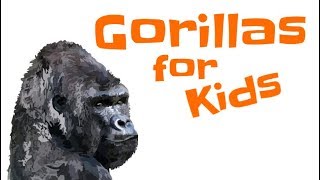 Gorillas for Kids