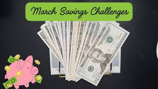 Stuffing $221 into My Savings Challenges...Let's See Where I Am