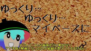 【ゆっくり茶番】まごうことなきクソ動画【2018年ありがとうございました】
