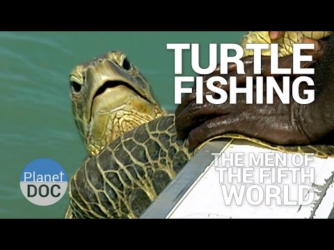 Turtle Fishing. The Men of Fifth World | Tribes - Planet Doc Full Documentaries
