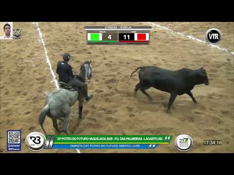 DISPUTA POTRO DO FUTURO CATEGORIA ABERTO LIVRE PARQUE DAS PALMEIRAS 2025