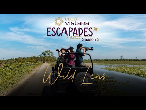 CV Escapade Wild Lens – Episode 5