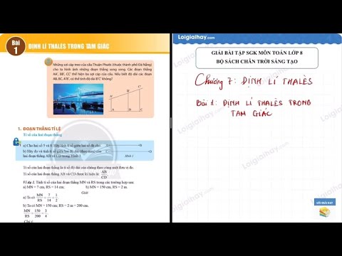 Giải bài 2 trang 49 SGK Toán 8 tập 2– Chân trời sáng tạo | SGK Toán 8 - Chân trời sáng tạo