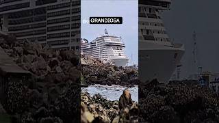 MSC GRANDIOSA cruzeiro saindo navio Santos Salvador Buzios @cruzeiros2025  maior #drone #shorts
