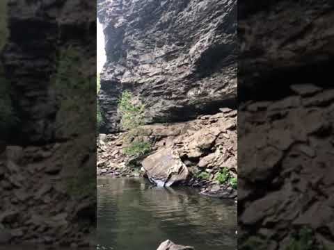 the pool of the falls