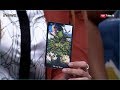 Diramal Kartu Tarot Seseorang Akan Menjatuhkan Hotman Paris Di Tahun 2019 Part 3A HPS 27 12
