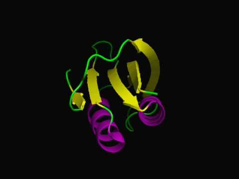 TRANCE VISIONS- Seraque - Eternity