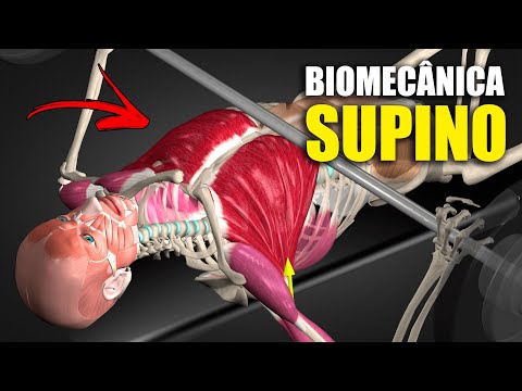 Bench Press - Biomechanical Analysis [BODYBUILDING BIOMECHANICS]
