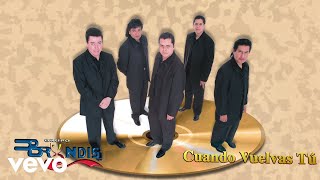 Grupo Bryndis - Cuando Vuelvas Tú (Visualizer)