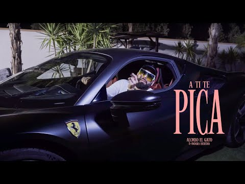 ALONSO EL GATO ft INDARA HEREDIA - A TI TE PICA (Videoclip Oficial)