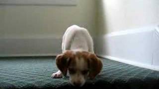 First attempt at stairs