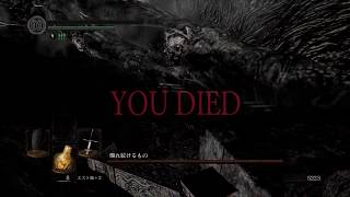 #6　ダクソシリーズ初心者が挑む「DARK SOULS REMASTERED」