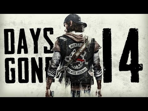 ZBIERANIE... lawendy. | Days Gone [#14]