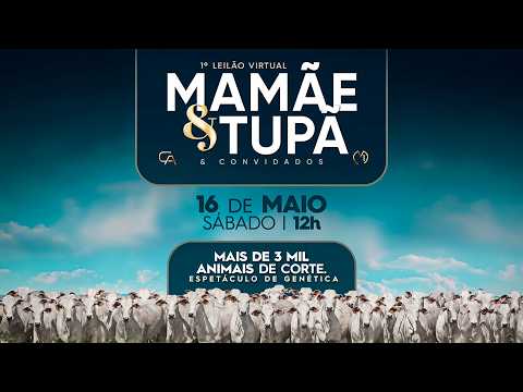 1° LEILÃO VIRTUAL MAMÃE & TUPÃ E CONVIDADOS - CAPITALIZA+LEILÕES - CAMPO GRANDE-MS  16/05/2026