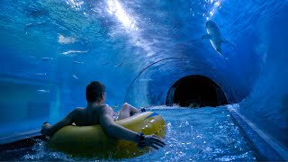 Download lagu Aquapark Reda in Poland (Trance ) mp3 Download lagu Aquapark Reda in Poland (Trance ) mp3