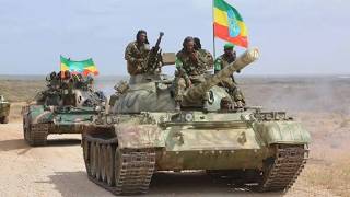 War of Survival The Ethiopian Conflagration