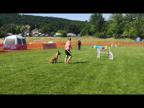 Pilis Open Elza 0616