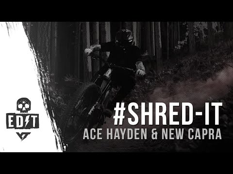 #SHRED-IT 👉 Ace Hayden & The New Aluminium #YTCAPRA