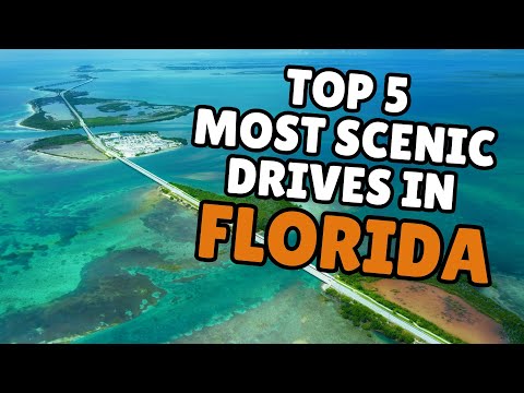 Top 5 Most Scenic Drives in Florida You’ve Gotta Do at Least Once