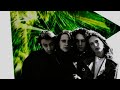 Veruca Salt-Wolf Official Audio