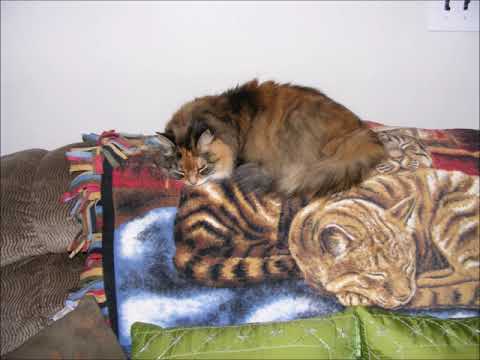 October Wind (demo version)