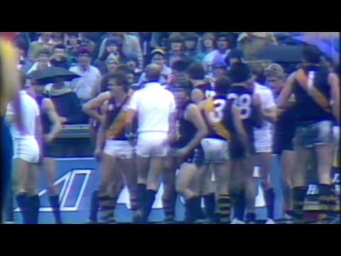 Fight in third quarter 1984 Round 14 game at Princes Park