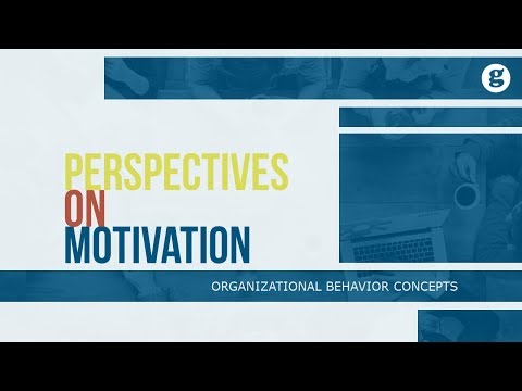 What is Organizational Behavior