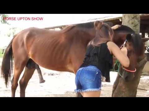Fantastic! A Girl and A Horse - Lovely smart girl Playing Horse On Rice Fields