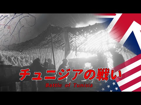 チュニジアの鳥類のリスト - 定義