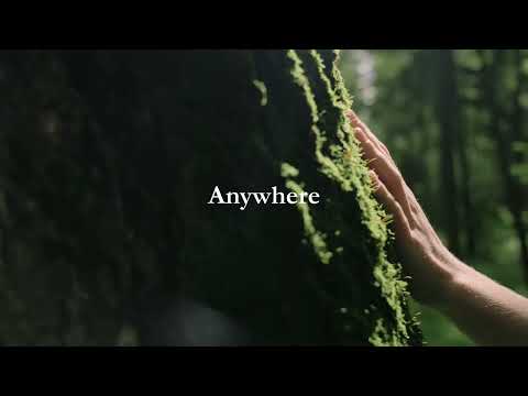 The Forest Within Trailer 2