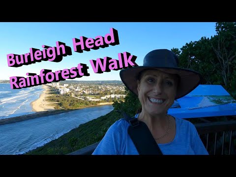 Short Hikes - Burleigh Heads Rainforest Walk