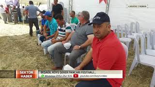 Sektör Haber |  Şeker Pancarı Festivali