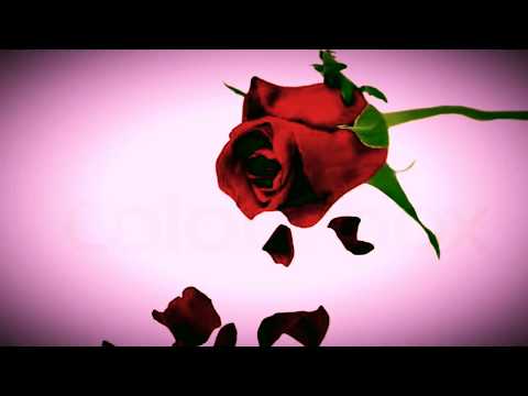 Chase Banz-She Love Me Not (Prod.by 73)