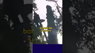 Download lagu BAHAGIA DAN SENGSARA DARI PIKIRAN KITA, Buya syakur, religi islam, ceramah singkat, dakwah #shorts mp3