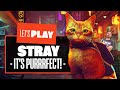 Let's Play Stray - THE FIRST THREE HOURS! Stray PS5 Gameplay
