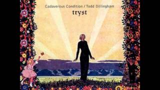 Cadaverous Condition: Shine