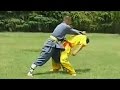 Kung Fu: 36 fight techniques