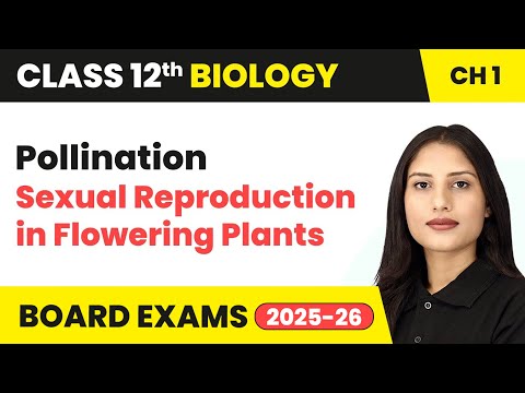 Class 12 Biology Book Overview Complete Strategy Syllabus Overview for Session 2024 25 NCERT