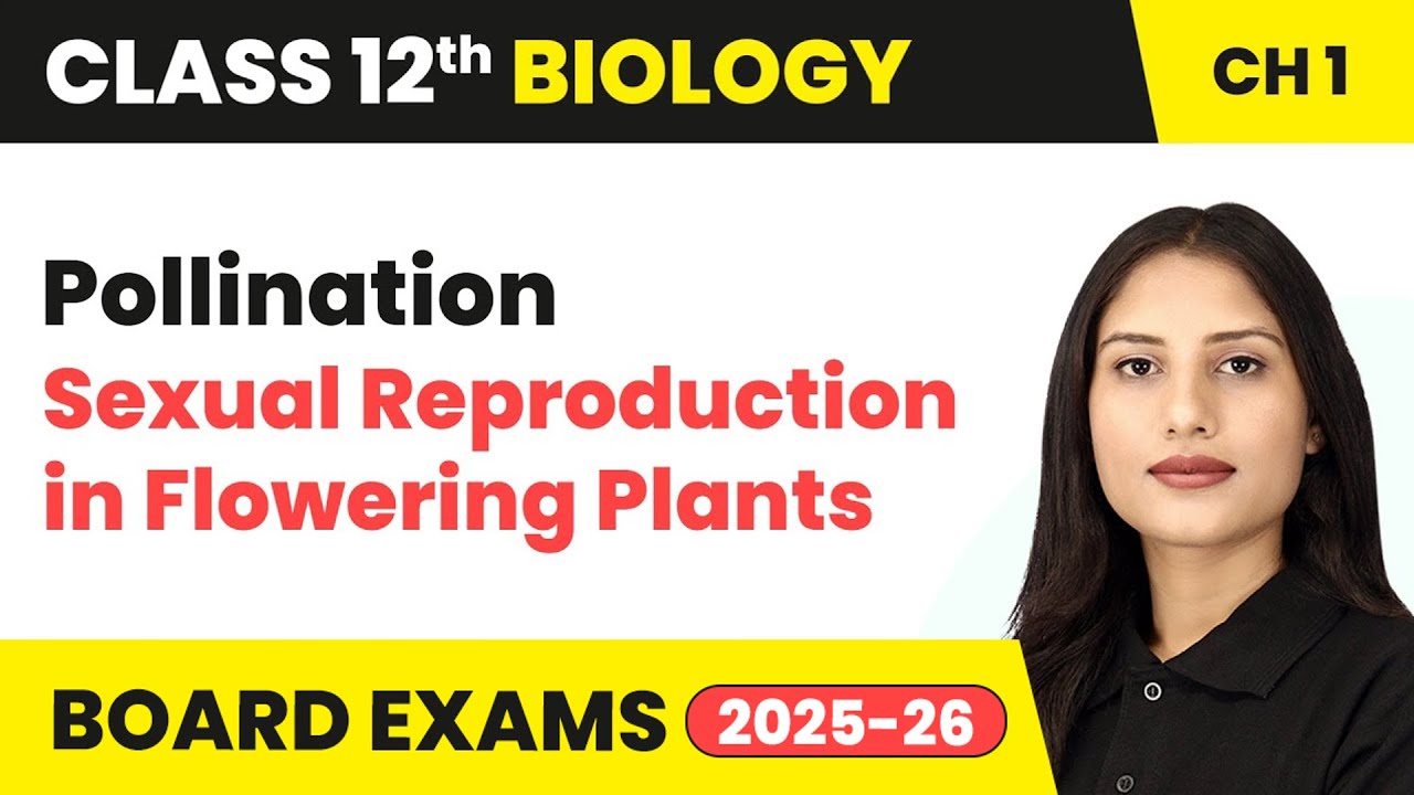 Pollination - Sexual Reproduction in Flowering Plants | Class 12 Biology Chapter 1 | CBSE 2024-25