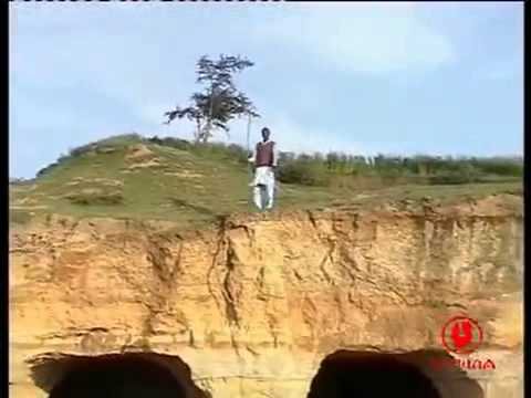 Araarsaa Gabbisaa   Koomee (Oromo Music)