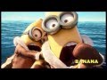Minions Banana